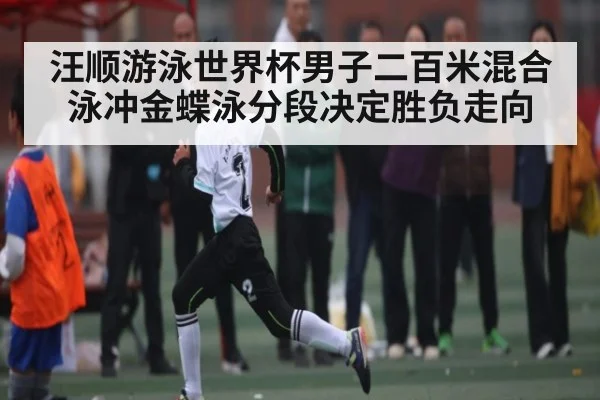 汪顺游泳世界杯男子二百米混合泳冲金蝶泳分段决定胜负走向