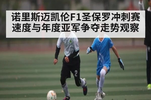 诺里斯迈凯伦F1圣保罗冲刺赛速度与年度亚军争夺走势观察
